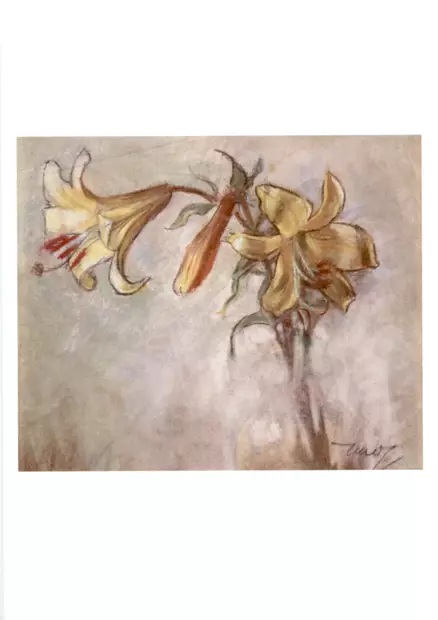 Martta Wendelin Adressi/Onnittelukortti - Adressit - 28520231553 - 1