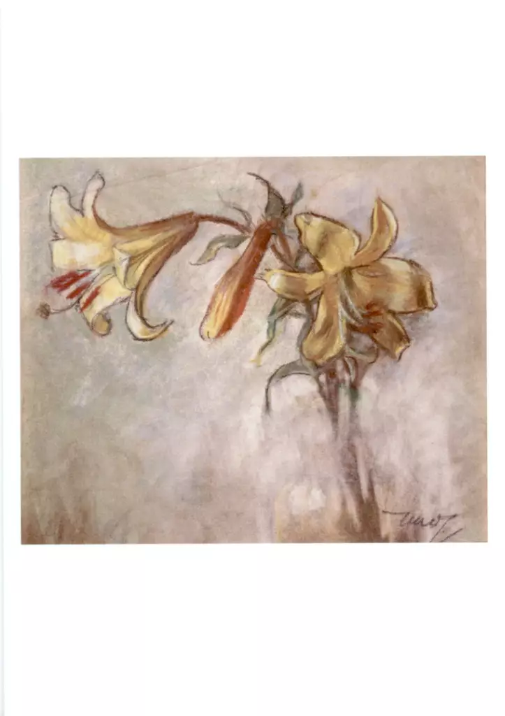 Martta Wendelin Adressi/Onnittelukortti - Adressit - 28520231553 - 1